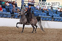 09r14-3973 proof