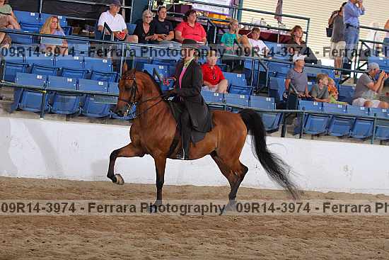 Proof 09r14-3974