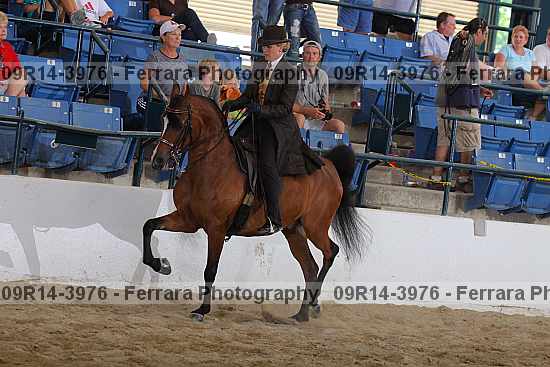 Proof 09r14-3976