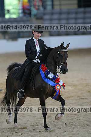 Proof 09r14-3978