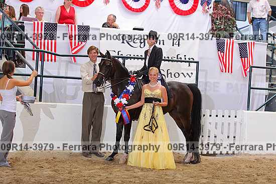 Proof 09r14-3979