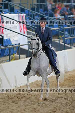 Proof 09r14-3980