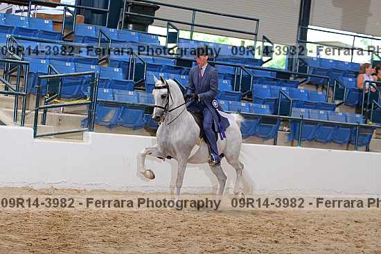 Proof 09r14-3982