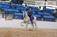 09r14-3982 proof