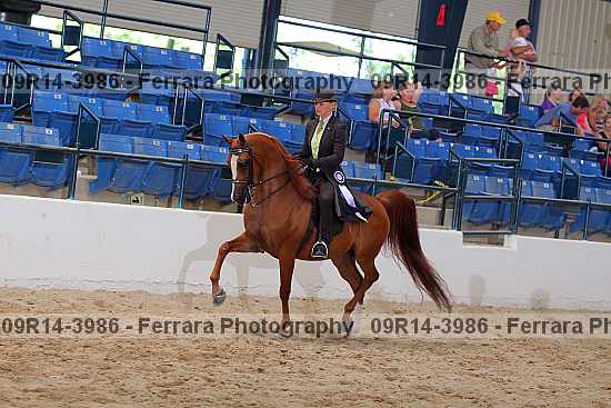 Proof 09r14-3986