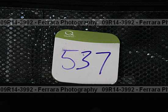 Proof 09r14-3992
