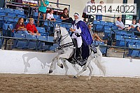 09r14-4022 proof