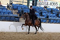 09r14-4065 proof