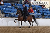 09r14-4066 proof