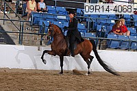 09r14-4068 proof