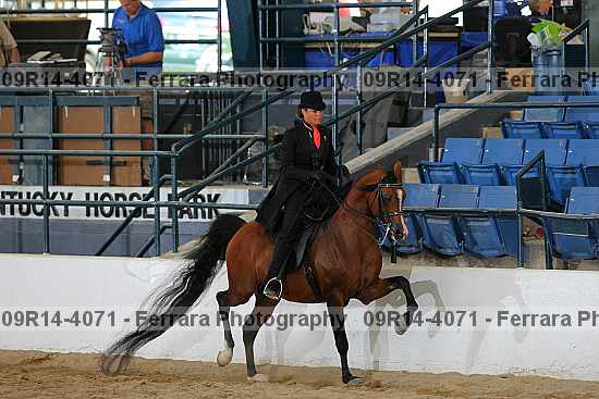 Proof 09r14-4071