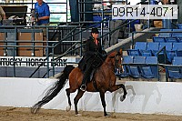 09r14-4071 proof