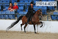 09r14-4072 proof