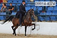 09r14-4074 proof