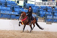 09r14-4083 proof