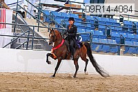 09r14-4084 proof
