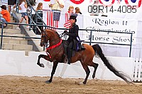 09r14-4085 proof