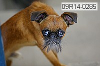 09r14-0285 proof
