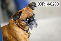 09r14-0289 proof