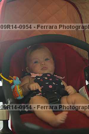 Proof 09r14-0954