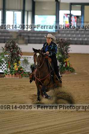 Proof 09r14-0036