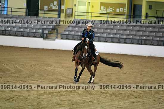 Proof 09r14-0045