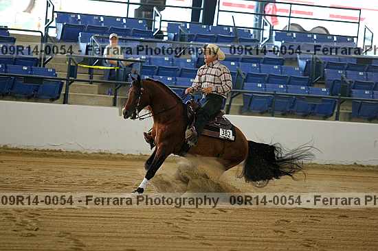 Proof 09r14-0054