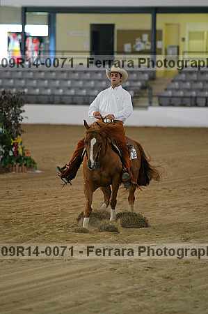 Proof 09r14-0071