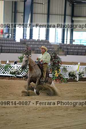 Proof 09r14-0087