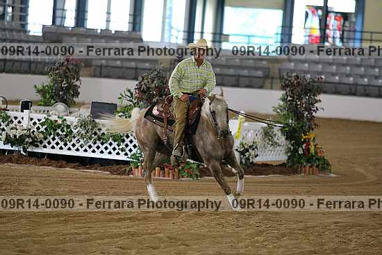 Proof 09r14-0090