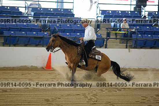 Proof 09r14-0095