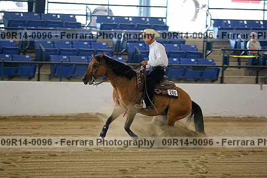 Proof 09r14-0096