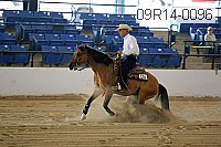 09r14-0096 proof