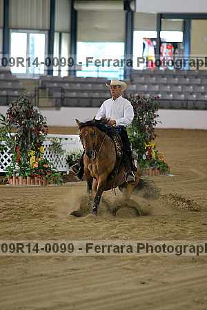 Proof 09r14-0099