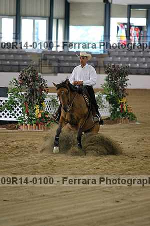 Proof 09r14-0100