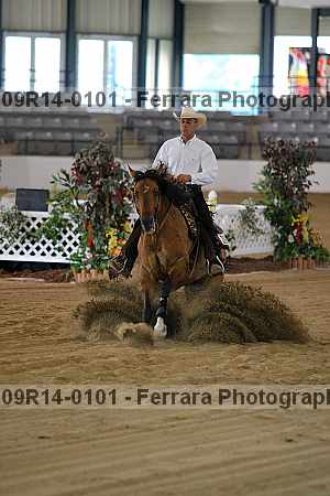 Proof 09r14-0101