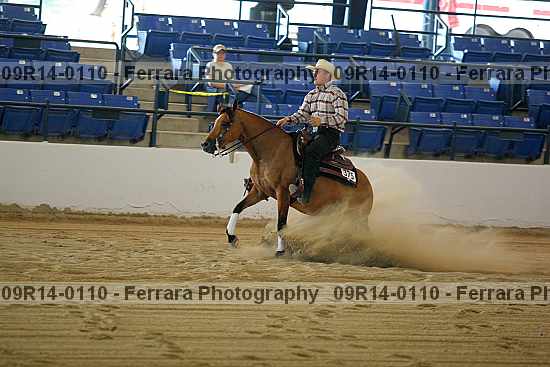 Proof 09r14-0110