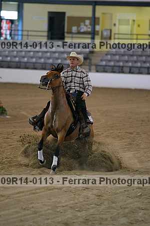 Proof 09r14-0113