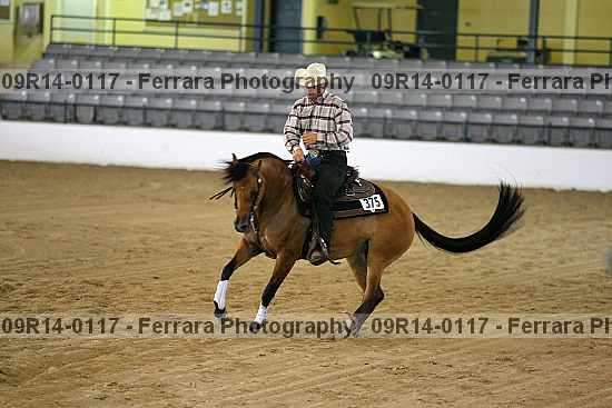 Proof 09r14-0117