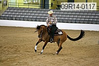 09r14-0117 proof