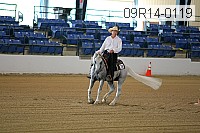 09r14-0119 proof