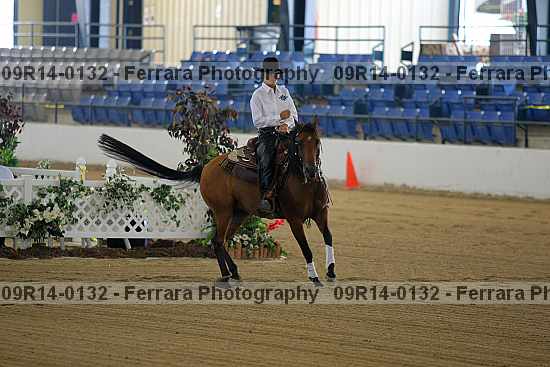 Proof 09r14-0132