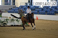 09r14-0132 proof