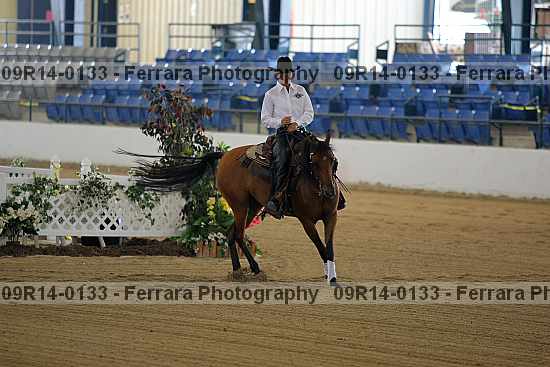 Proof 09r14-0133