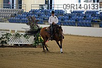 09r14-0133 proof