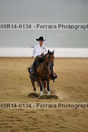 Proof 09r14-0134