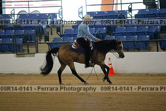 Proof 09r14-0141