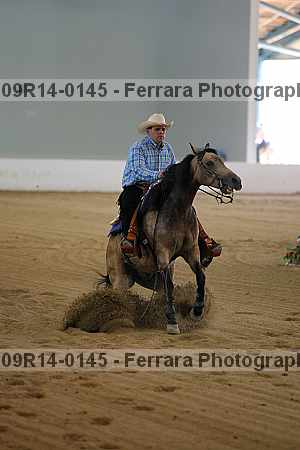 Proof 09r14-0145