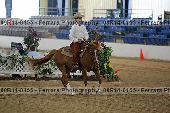 Proof 09r14-0155
