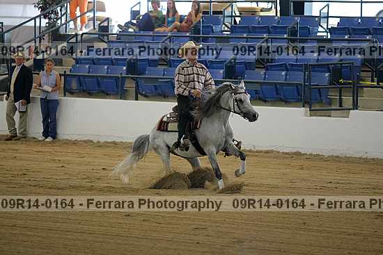 Proof 09r14-0164